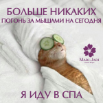 Web публикации