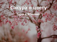 Дизайн презентации для туристической фирмы