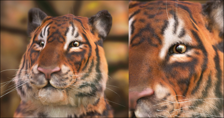 Работа 3714650