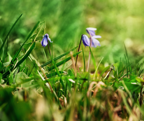 Работа 3679856