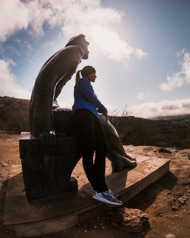 Работа 3679868