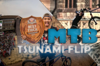 Работа 2771759