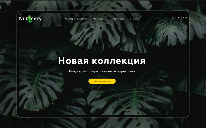 Дизайн лендинга для компании, продающая комнатные растения