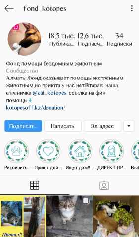 Оформление ,продвижение Инстаграмм