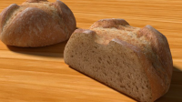 Bread