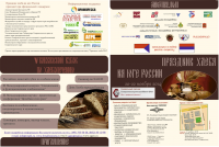 Работа 2259534