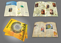 Журнал Soj review