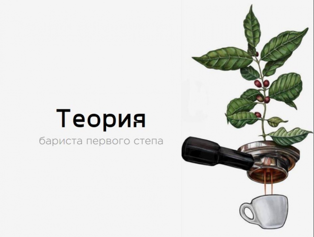 Презентация по кофейной теории для школы кофе