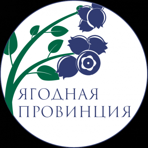 Работа 3721140
