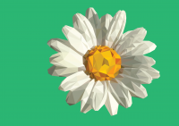 Работа 2674179