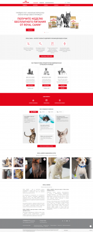 Дизайн и верстка интернет- магазина Royal Canin