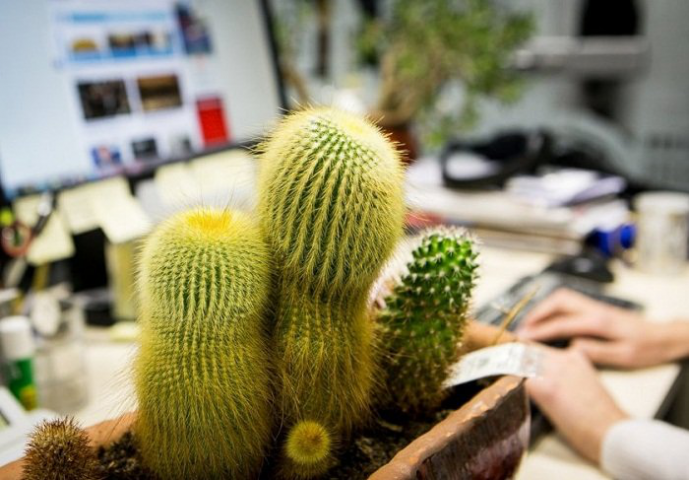 Яндекс.Трекер