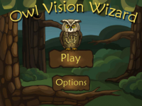 Computer Vision Syndrome (+ HD)