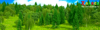 "Лес на склоне горы" (панорамная 3D картина)