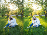 Работа 3029616