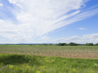 Работа 3017637