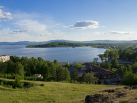 Работа 3017635