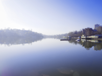 Работа 3017633