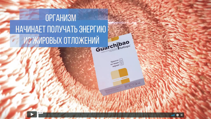Guarchibao product presentation