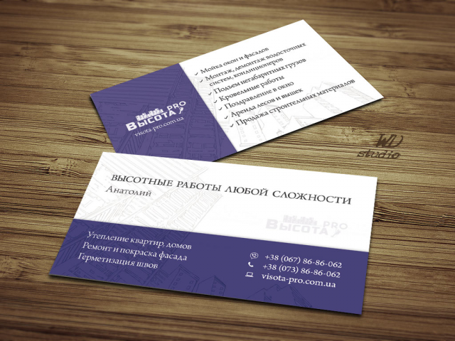 Логотип плюс визитка