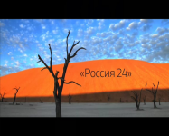 Докфильмы