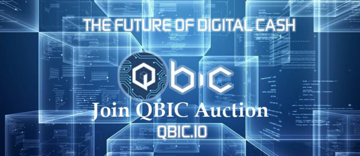 Криптовалютный кошелек Qbic