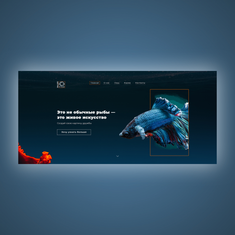 Landing Page  товар - эксклюзивные рыбы