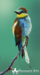 birdie