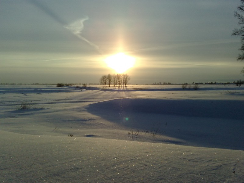 pic1732390.jpg