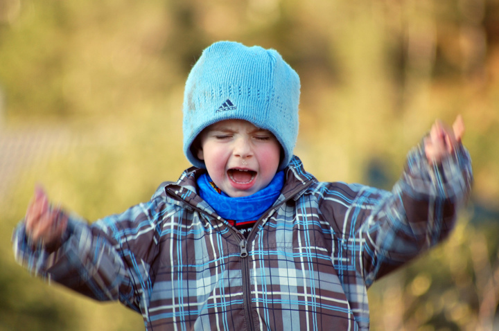 Как я искала квартиру без риэлтора - и не нашла