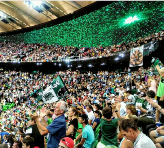 Про футбольных фанатов