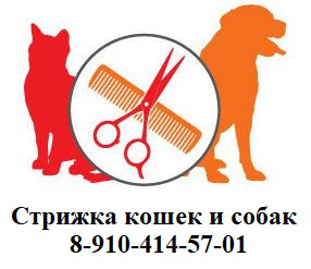 Стрижка кошек, котов и собак. Москва. Чехов.