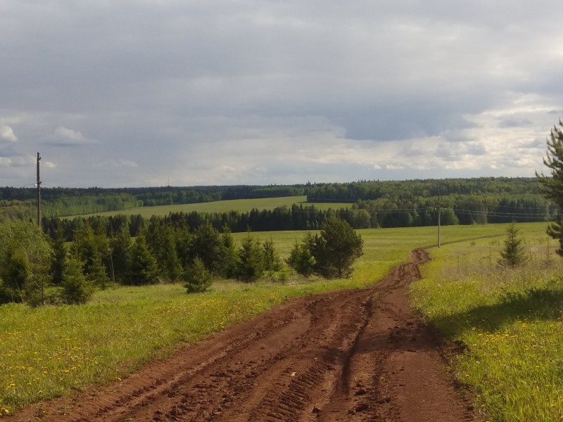 pic3712917.jpg