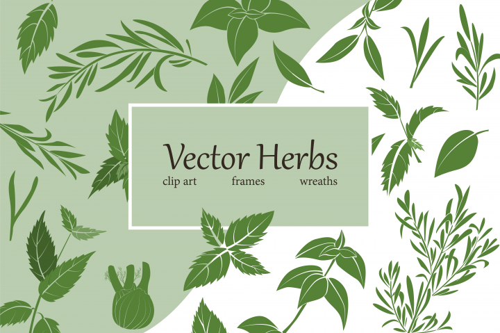 Vector herbs clip art