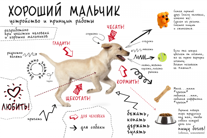 Инфографика2