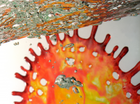 Работа 2206092