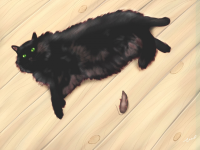 Мой кот