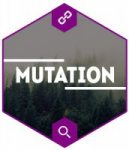 Создание адаптивного Landing page под ключ "Мутация"