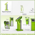 Интернет-магазин "Первый терминал" (2012)
