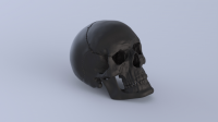 Череп нордический (3D-печать)