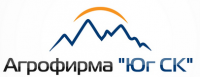 Маркетинг в сфере ГСМ. ООО "Агрофирма "Юг СК"