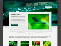 Дизайн для темы Wordpress