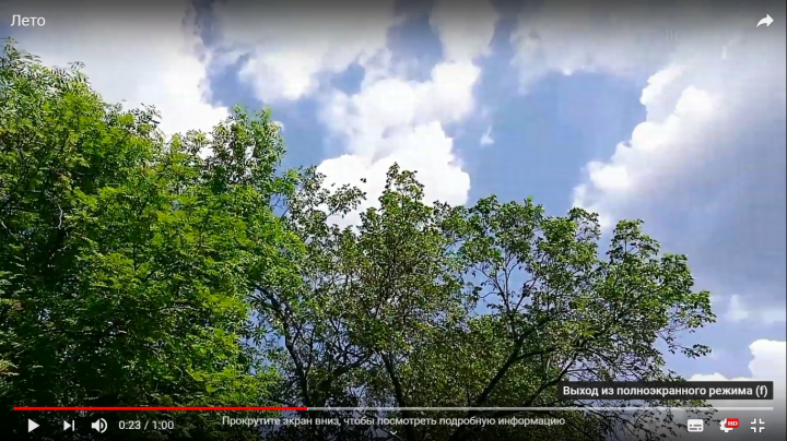 видео о природе