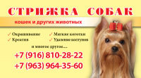 Визитная карточка