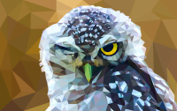 Low poly сова