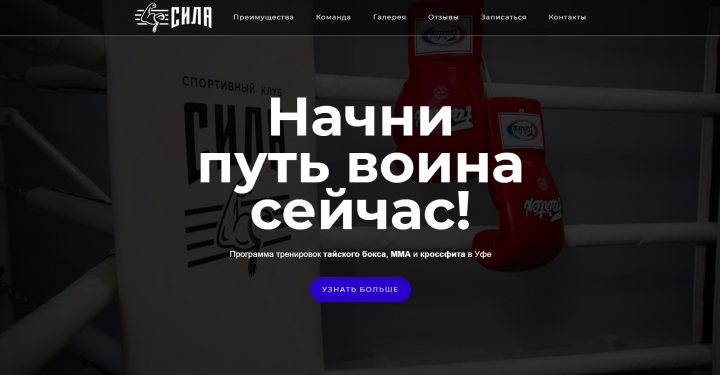 Сайт silaufa.ru