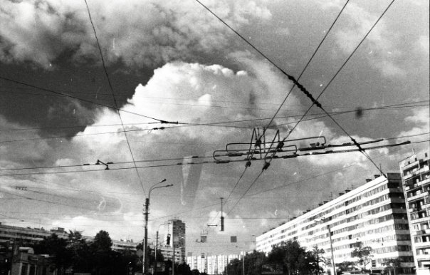 Работа 2029174