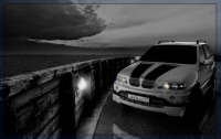 2 ВАРИАНТ X5