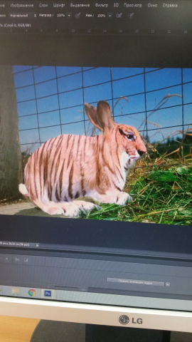 photochop