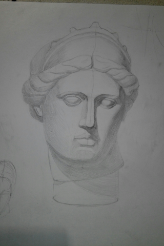 Венера голова